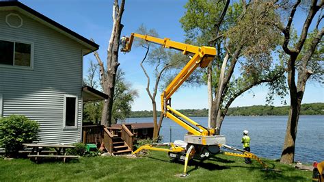 mini tree removal